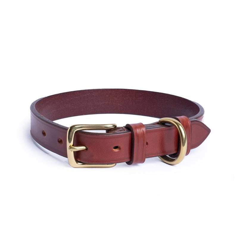 Hundhalsband 3 Cognac